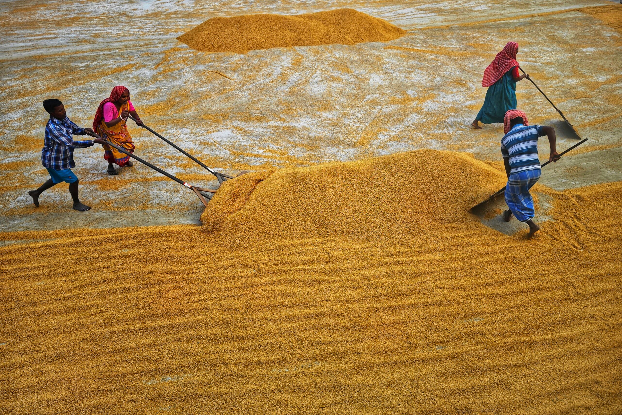 a group of people walking across a sandy beach