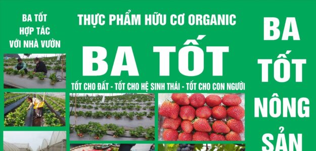 Rau - Củ -Quả hữu cơ BA TỐT